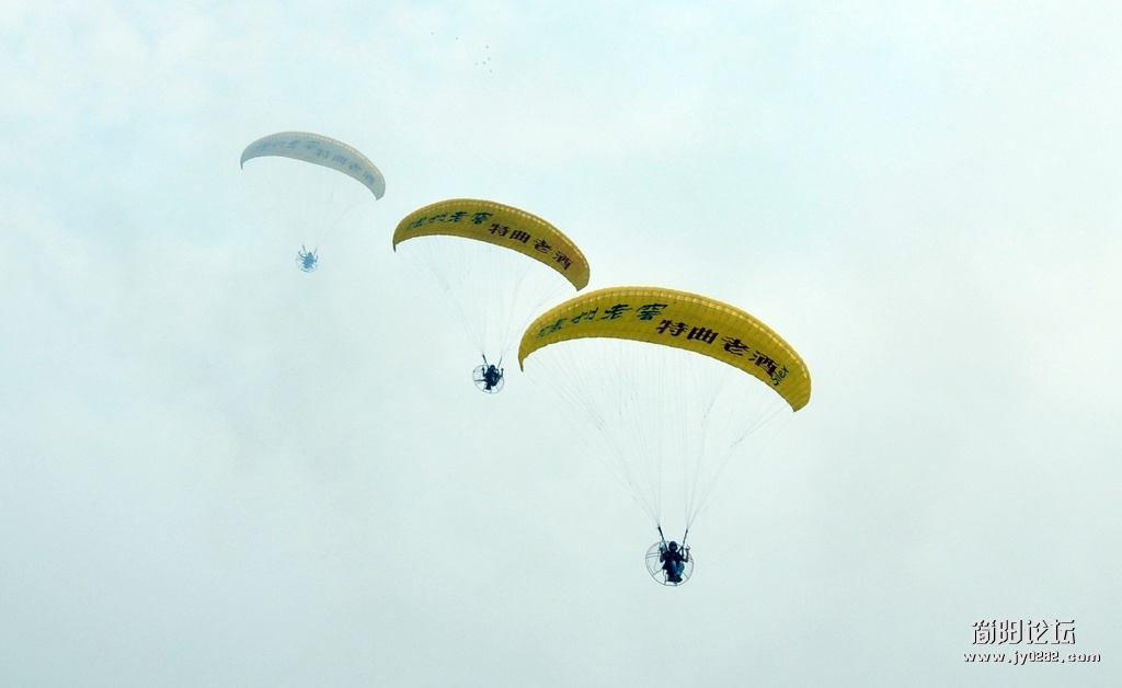 DSC_0220.jpg