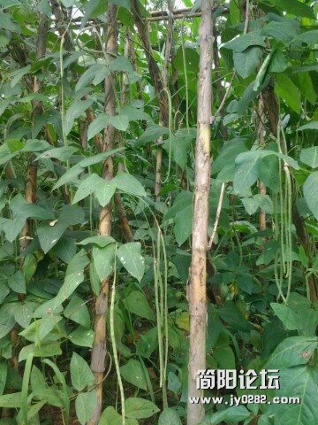 IMG20120624105733.jpg