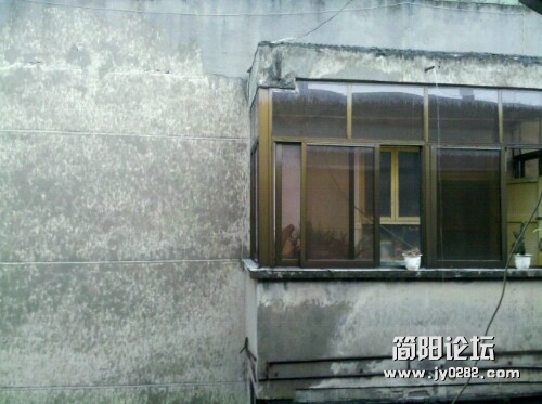 IMG20120624155946.jpg