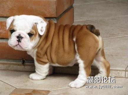 看什么看，伦家只不过是衣服太大了啦！.jpg
