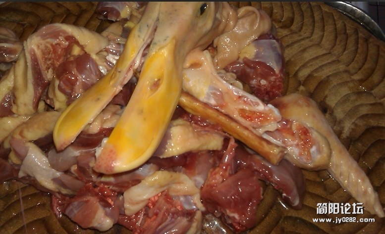 鸭子.jpg