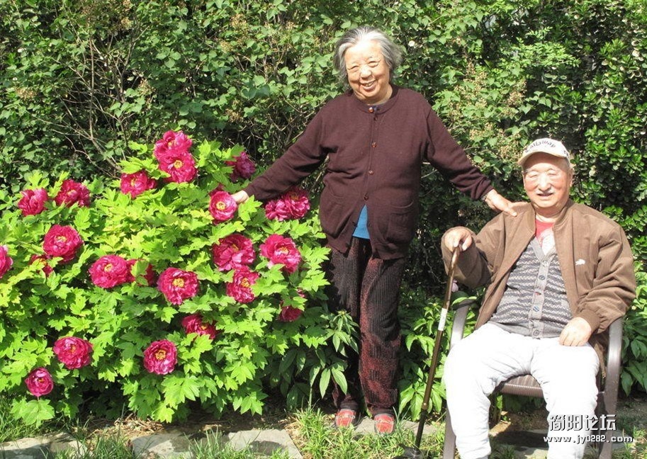 表演艺术家陈强大量家庭照曝光 8560G0M400AJ0003 (1).jpg