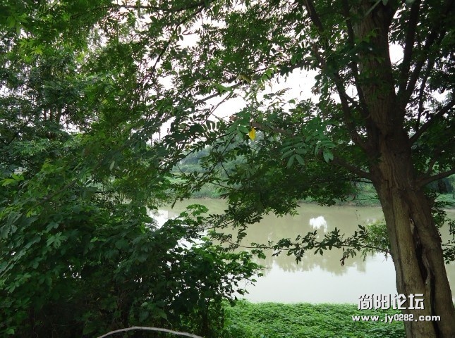 未命e名.jpg
