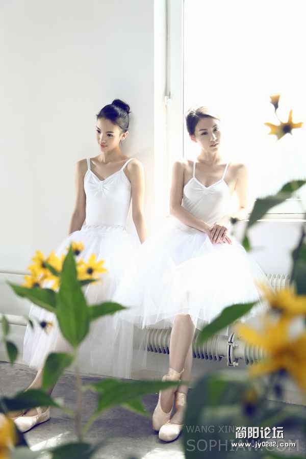 xmm (744).jpg