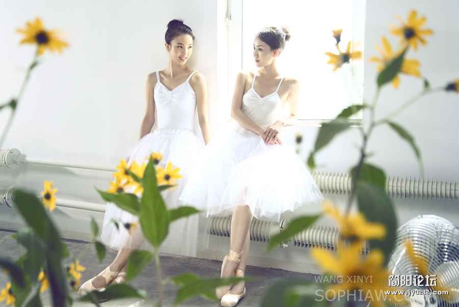 xmm (750).jpg