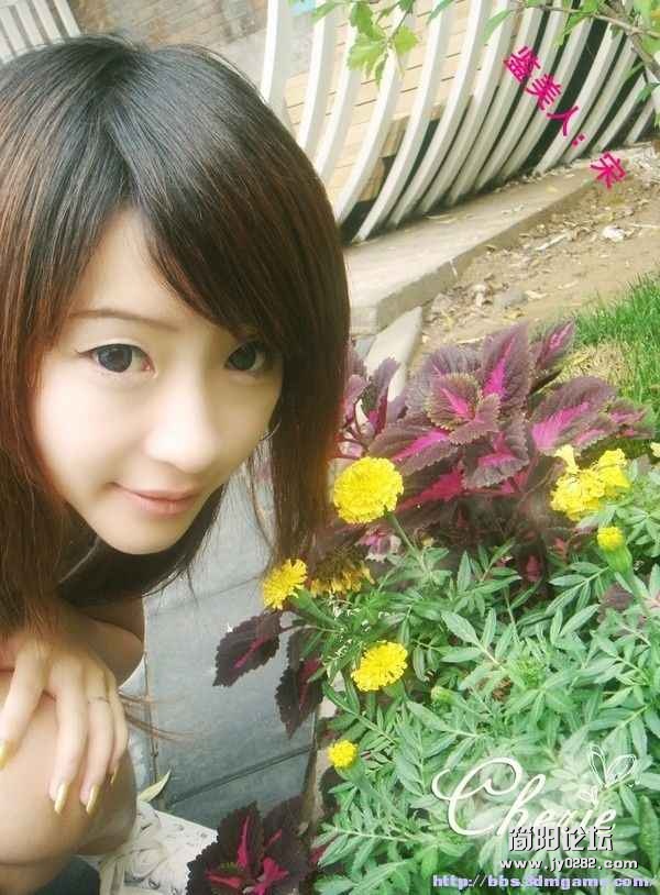 xmm (851).jpg