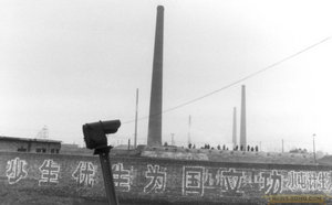 中国式标语让人难忘01372_592585806177233701.jpg