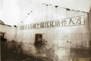 中国式标语让人难忘.jpg