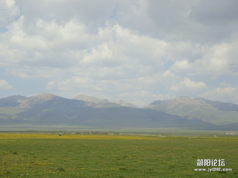 山，草原，草原上的花
