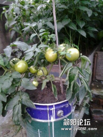 IMG20120704201118.jpg