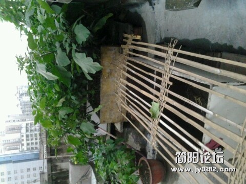 IMG20120704201301.jpg