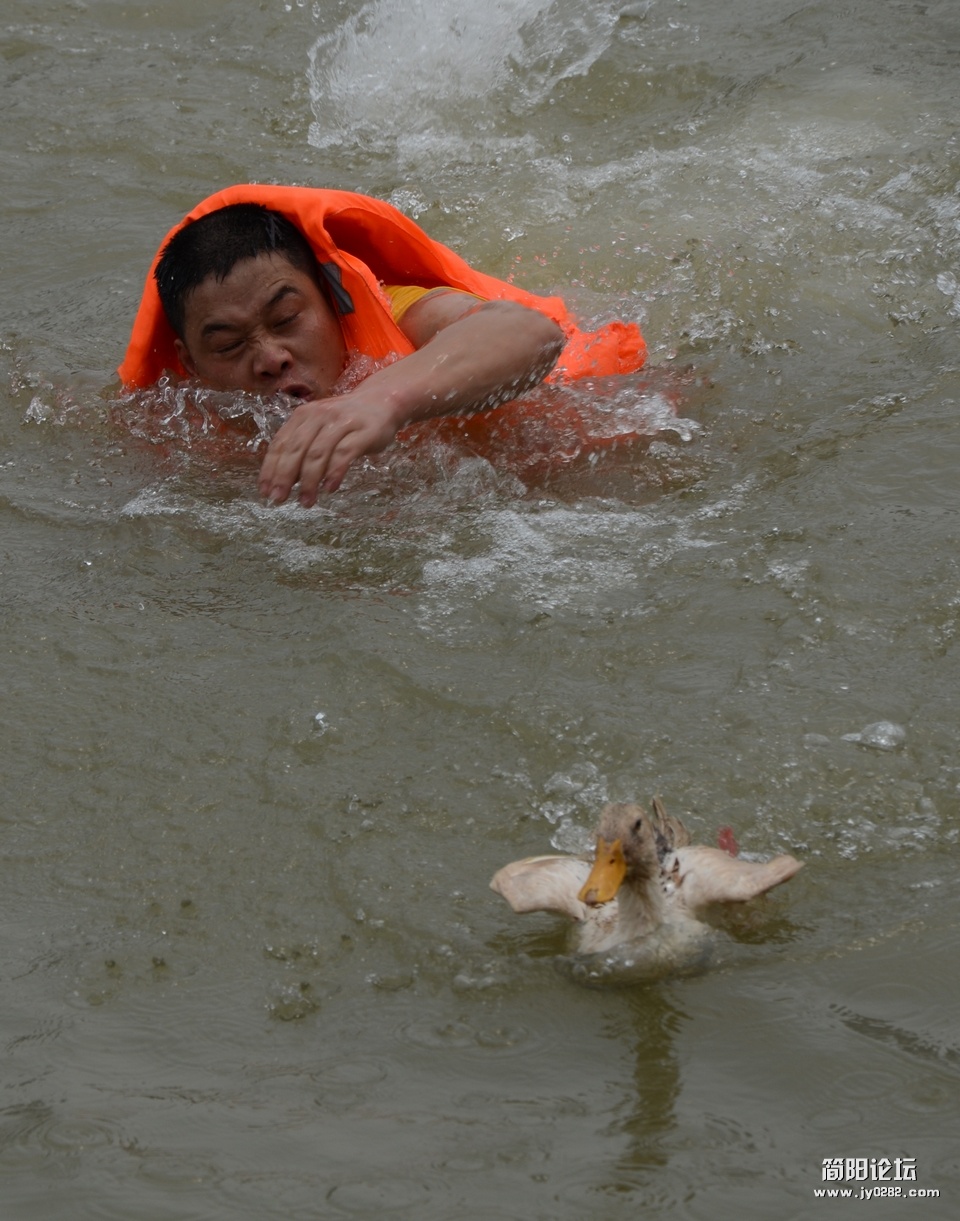 照片 1251.jpg
