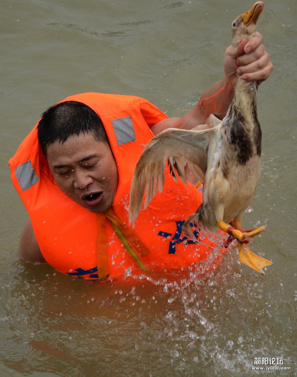 照片 1268.jpg