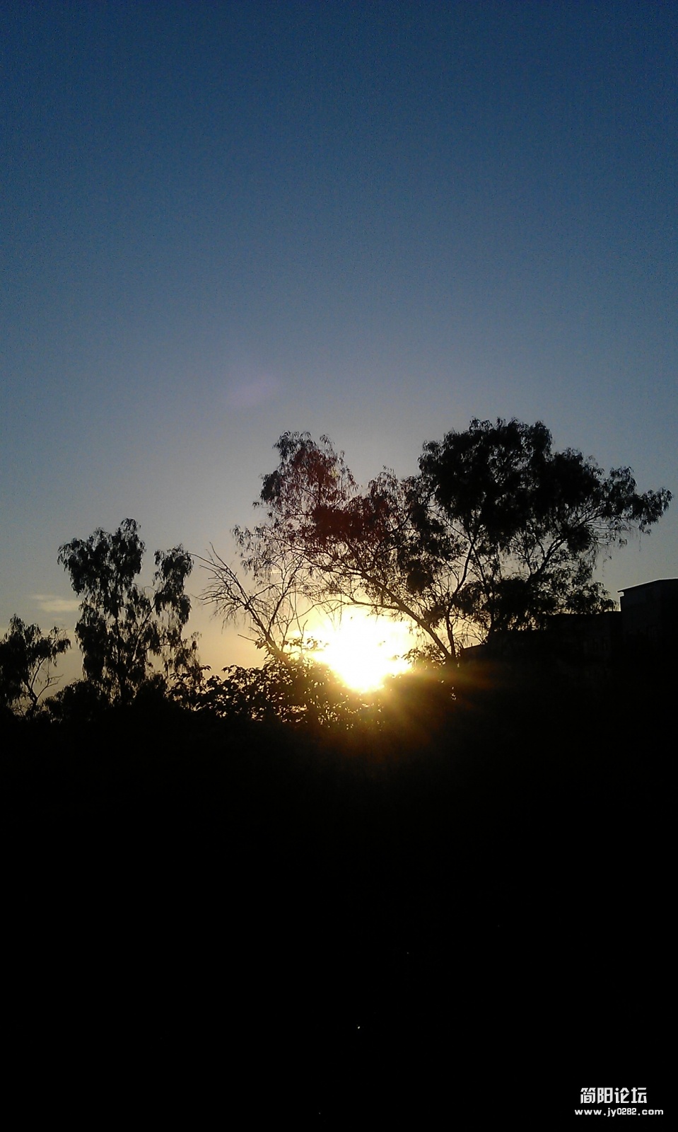 IMAG0146.jpg