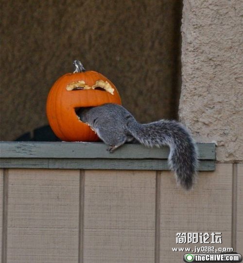 o201218416082114ff2a875ded0f.jpg