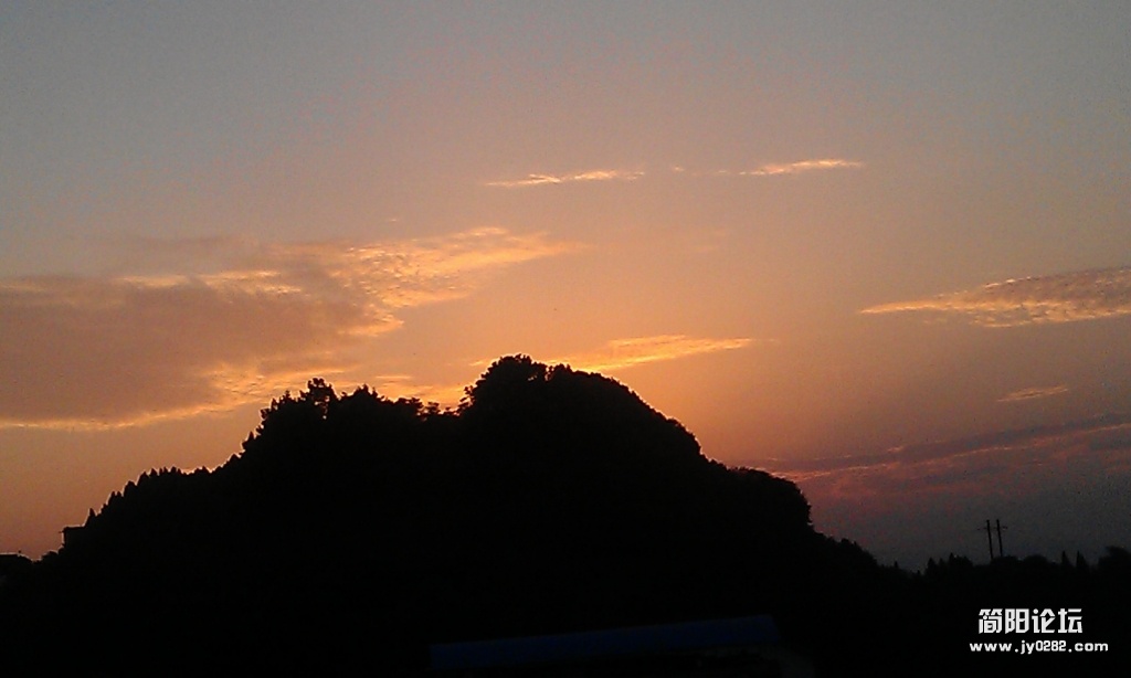 IMAG0155.jpg