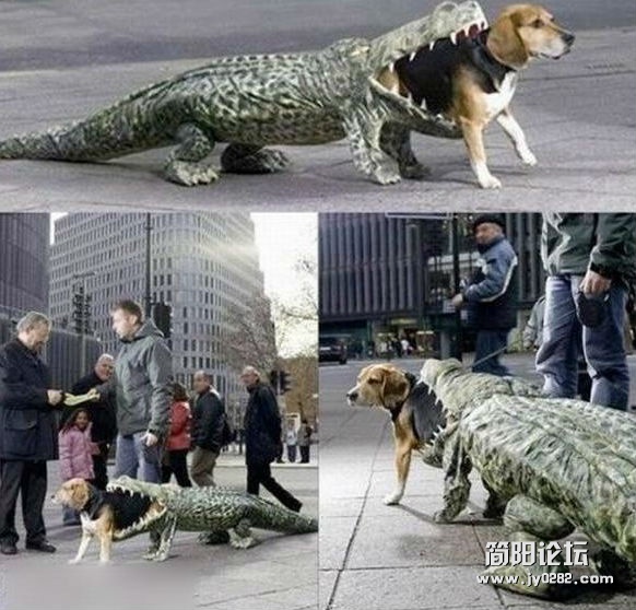 这衣服太拉风.jpg