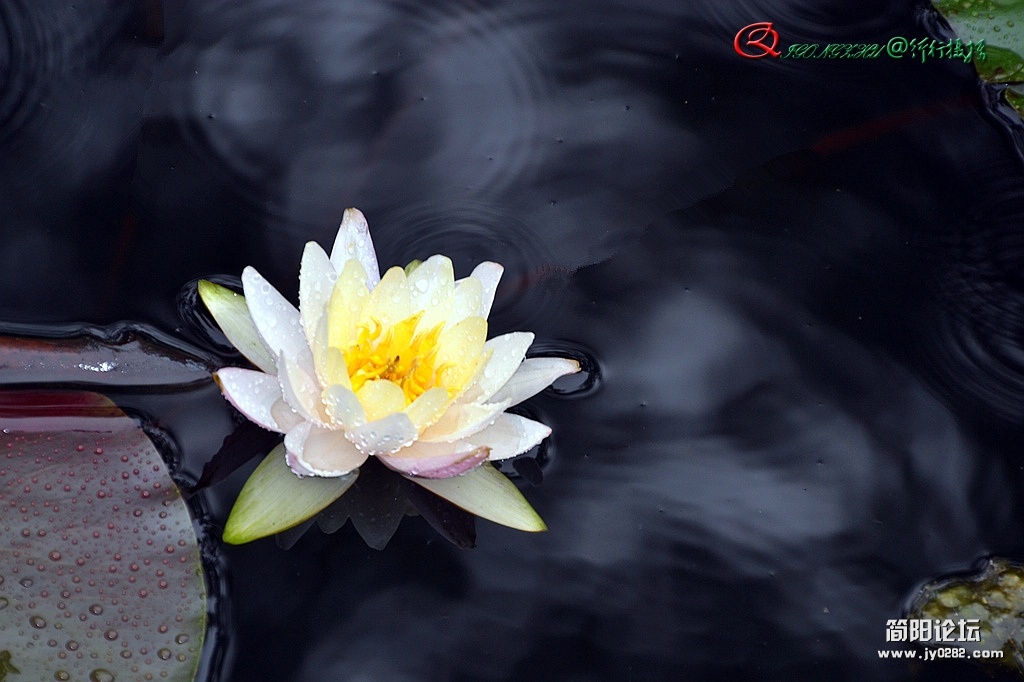 dsc_0002_副本.jpg