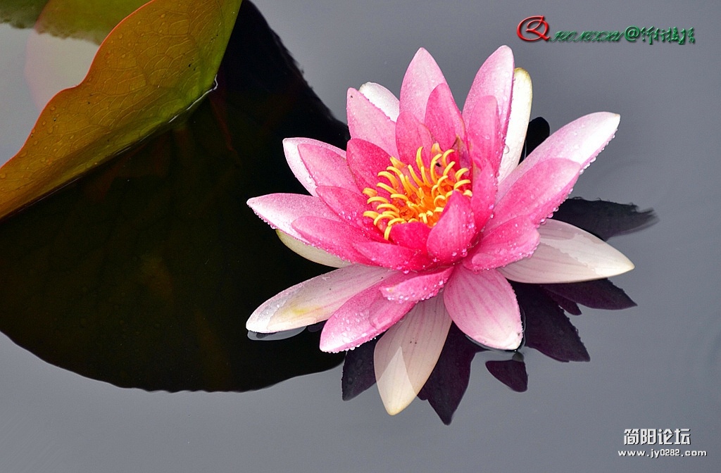 dsc_0029_副本.jpg