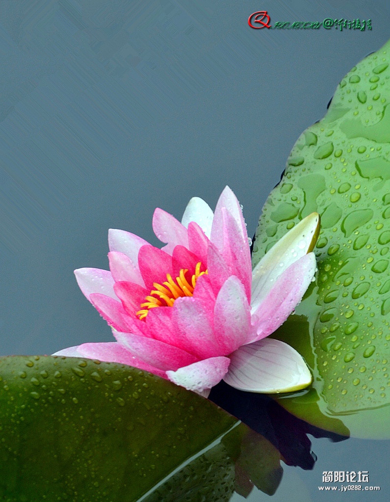 dsc_0030_副本.jpg