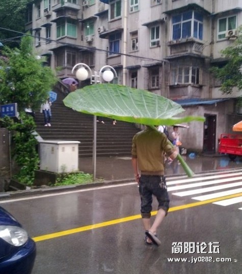 未命名.jpg