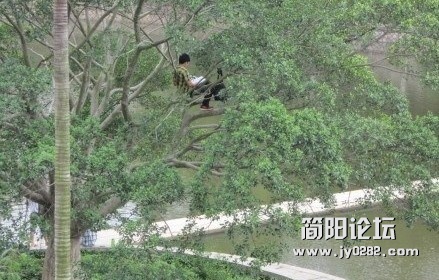 未命名.jpg