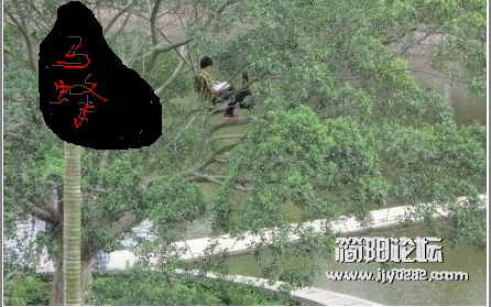 QQ截图20120711000219.png