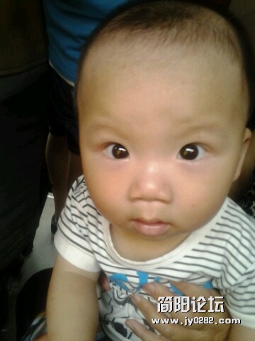 IMG20120712114237.jpg