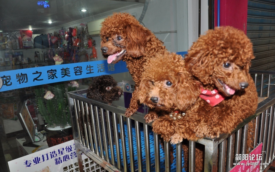 DSC_0045.JPG