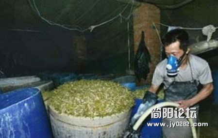 食品科学与工程 专业.jpg