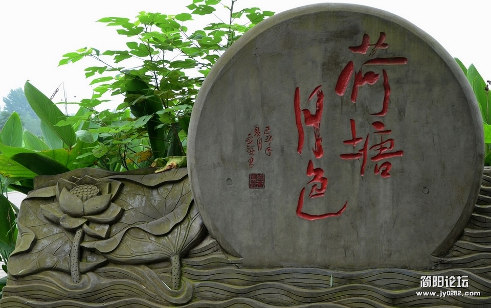 荷花 091-1.jpg