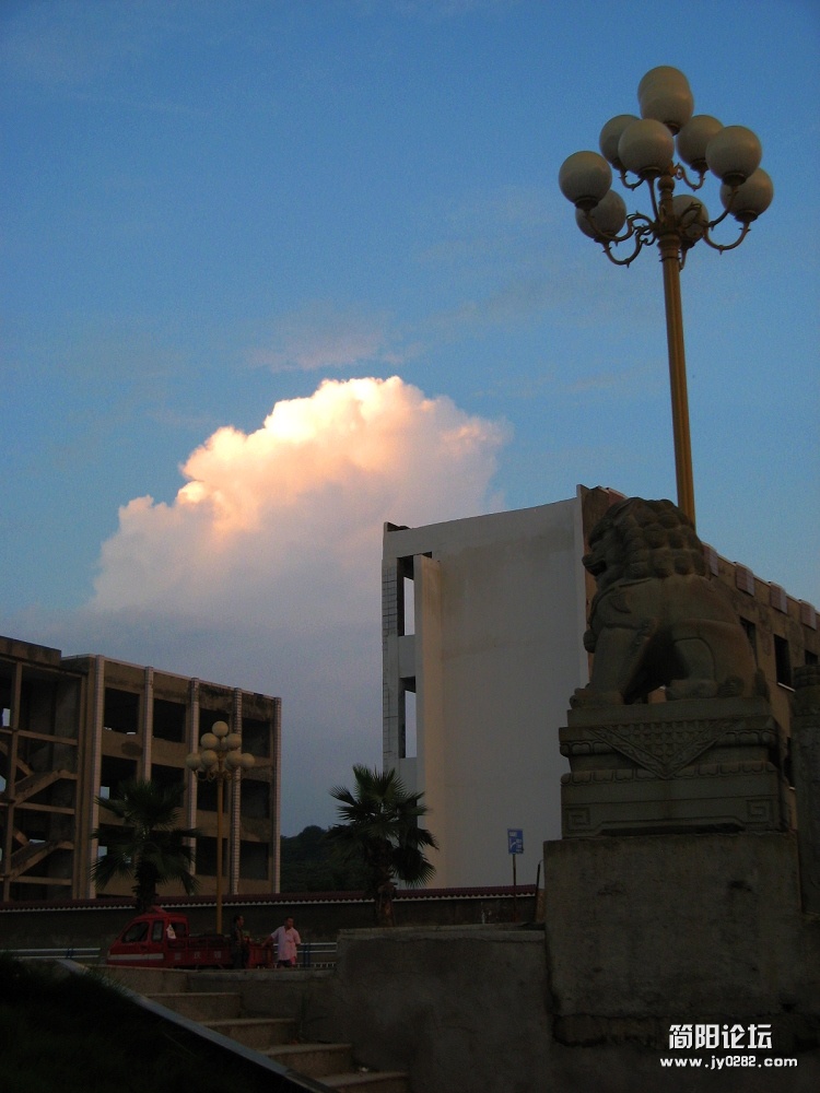 IMG_9557.jpg