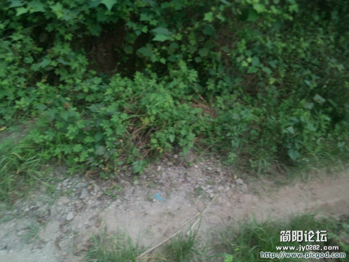 IMG_20120801_151803.jpg