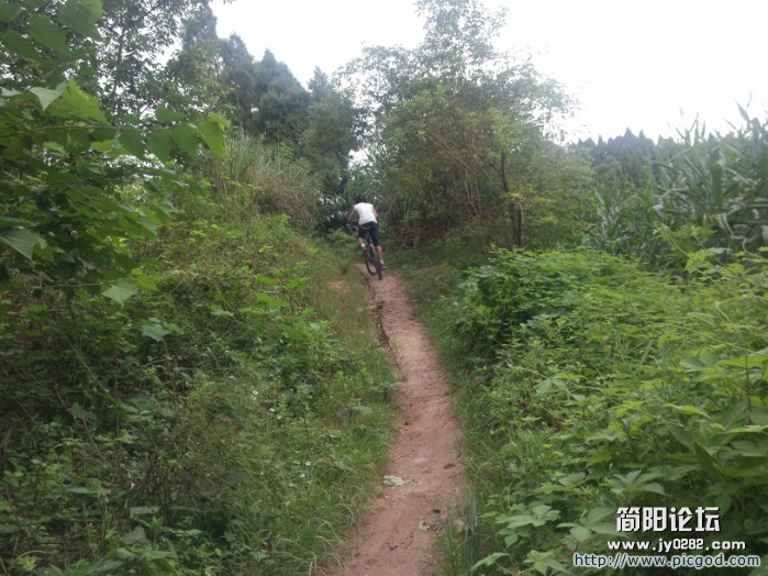 IMG_20120801_151937.jpg