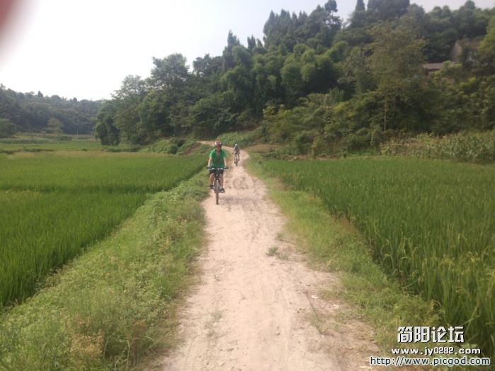 IMG_20120802_154817.jpg
