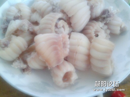 牙根1.jpg
