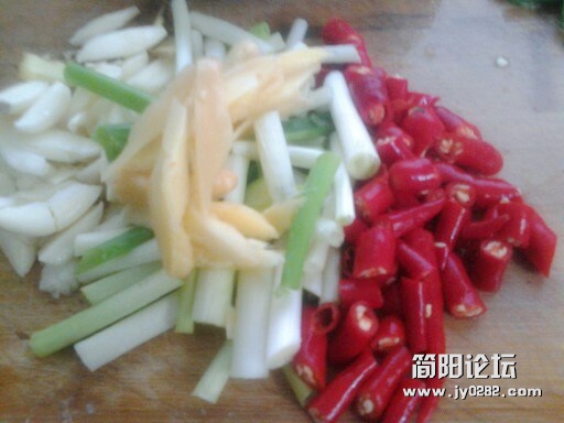 牙根2.jpg