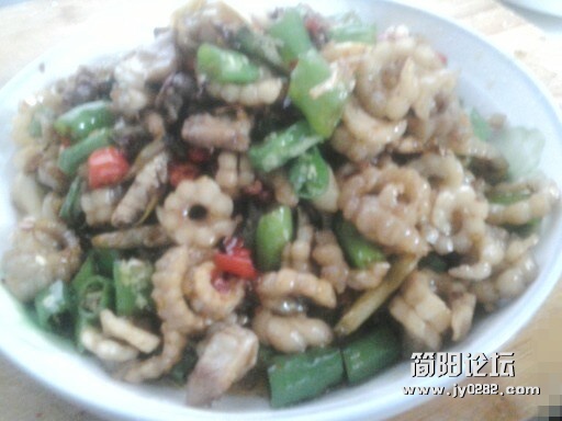 牙根5.jpg