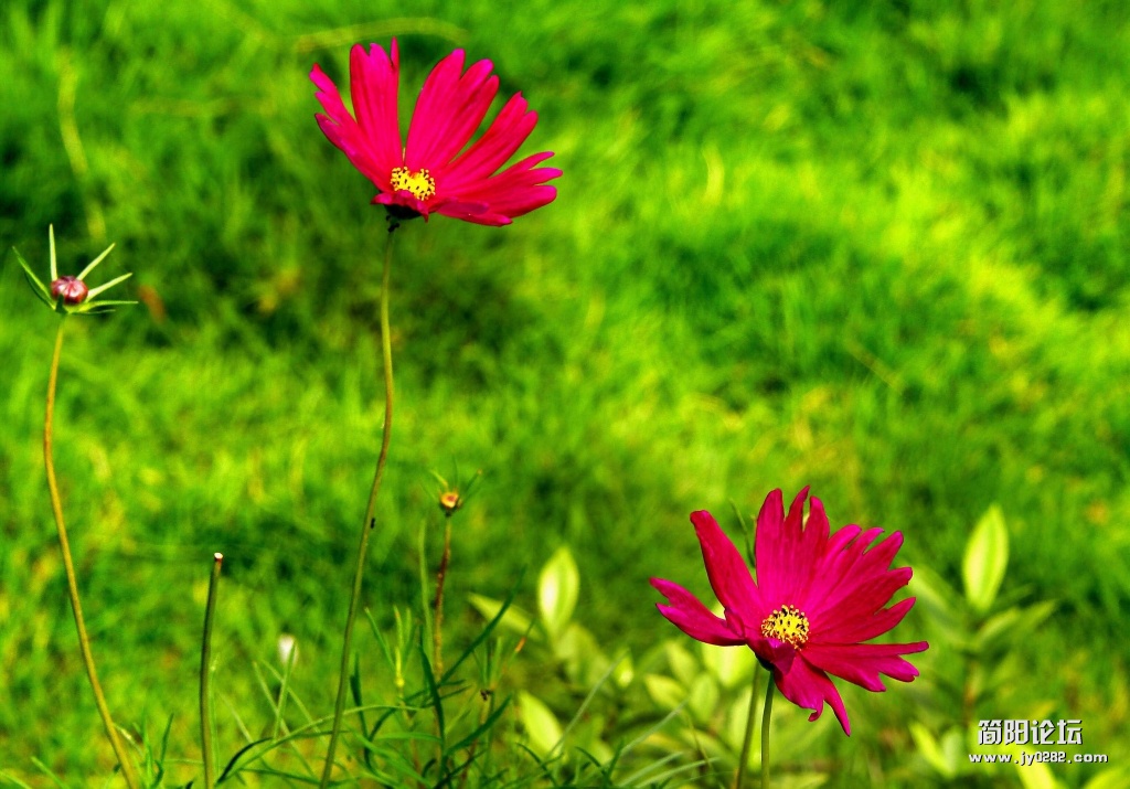 _DSC4028 0.jpg