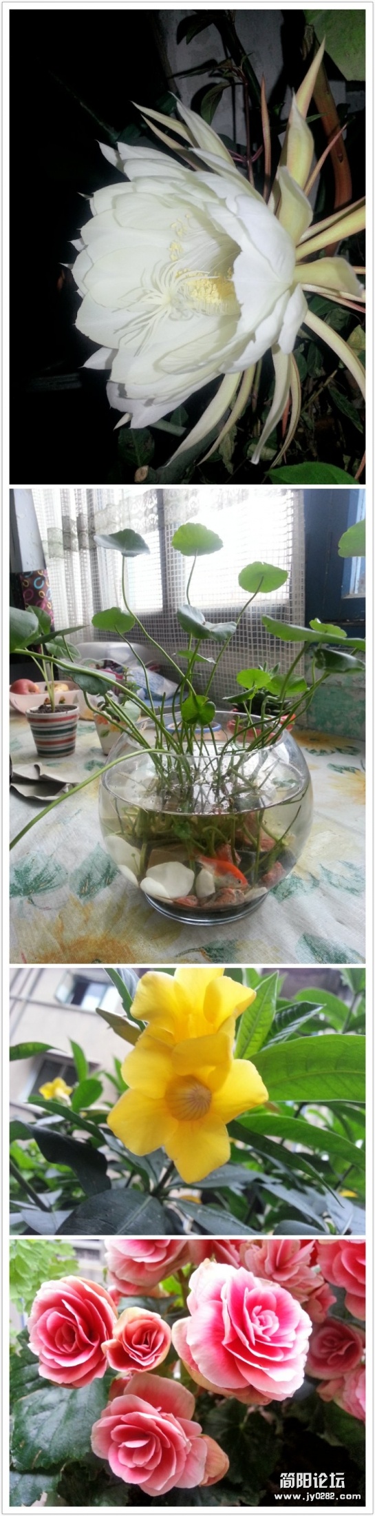 拼图2012_08_04_12_06_45.jpg