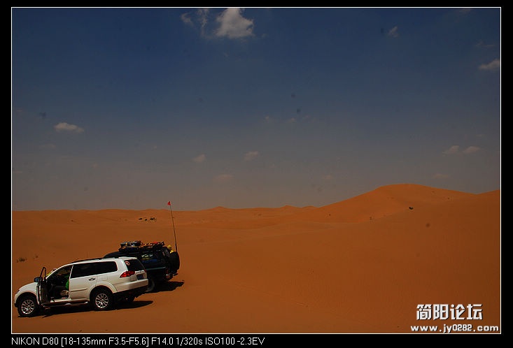 nEO_IMG_DSC_0295.jpg