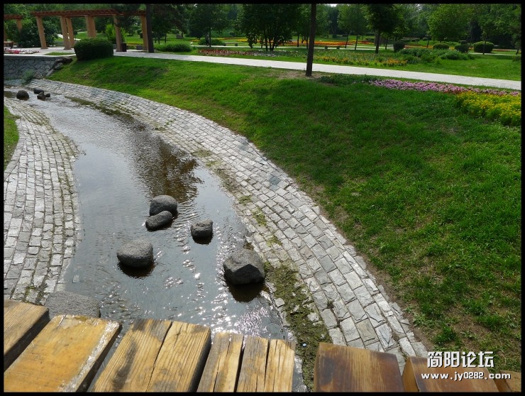 conew_p1000876.jpg