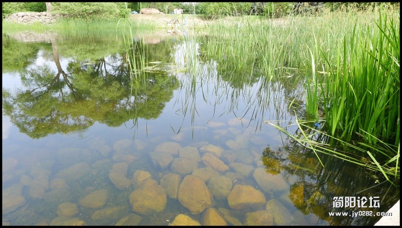 conew_p1000885.jpg