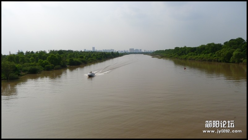 conew_p1000899.jpg
