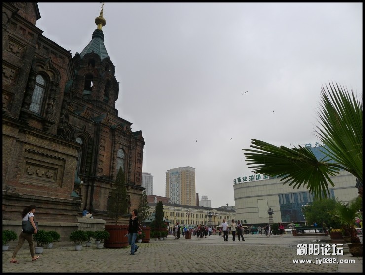 conew_p1010451.jpg