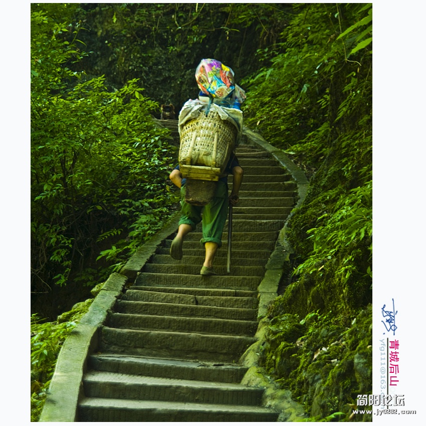 青城后山——12.jpg