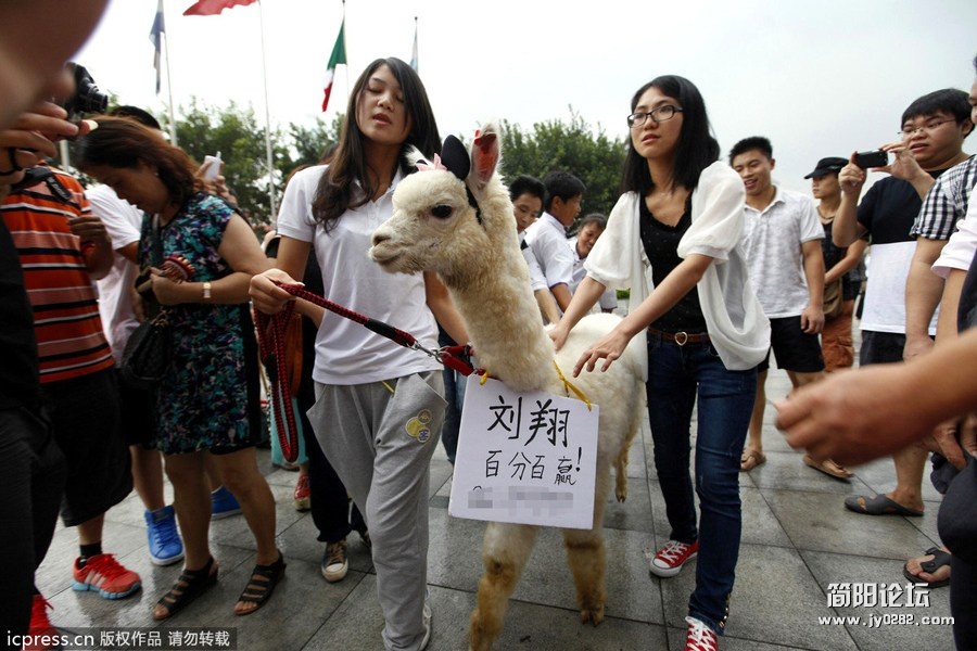 美女当街溜神兽.jpg