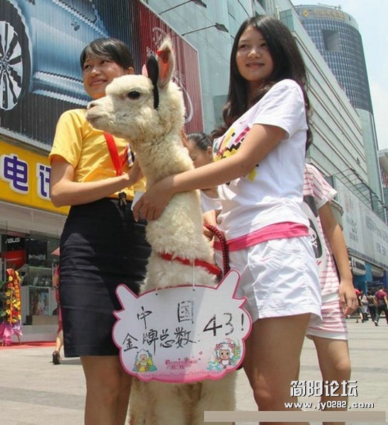 美女预测中国体育代表团夺金数.jpg