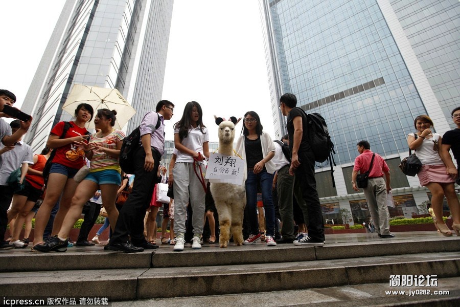 美女在闹市牵神兽为刘翔加油.jpg