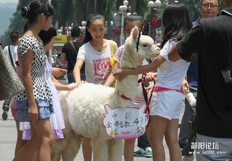 牵神兽上街是她为奥运加油的一种方式.jpg